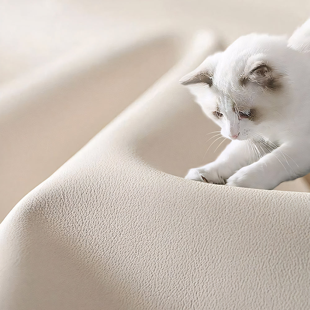Modern Low-Profile Cat-Scratch Leather Sofa