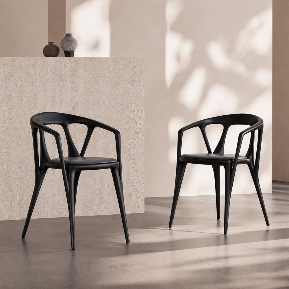 Modern Organic-Shaped Black Wood Arm Chair for Dining Room