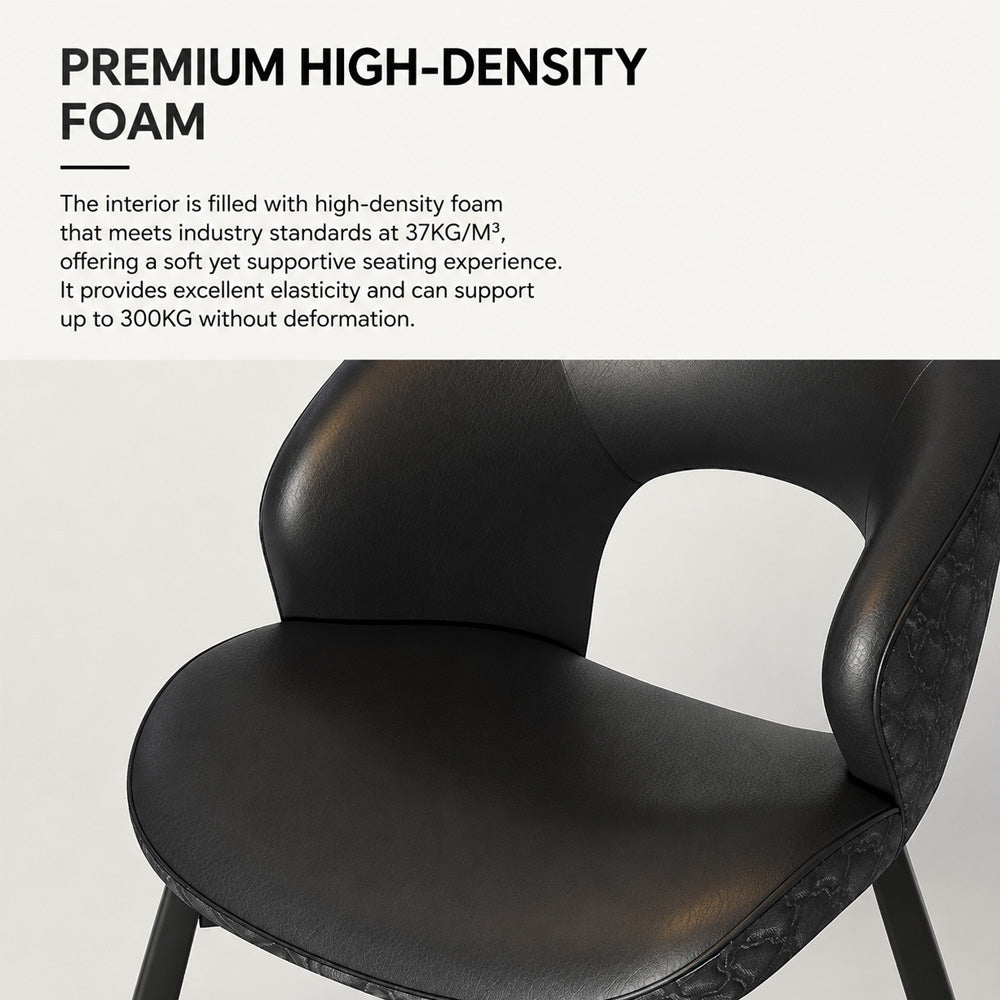 Modern Curved Dining Chair Set of 2 with Upholstered Seat & Carbon Steel Frame