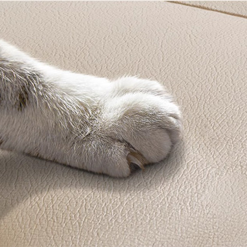 62.99'' Modern Electric Sofa Bed with Remote Control Cat Scratch Resistant Fabric Convertible Sleeper Couch Loveseat